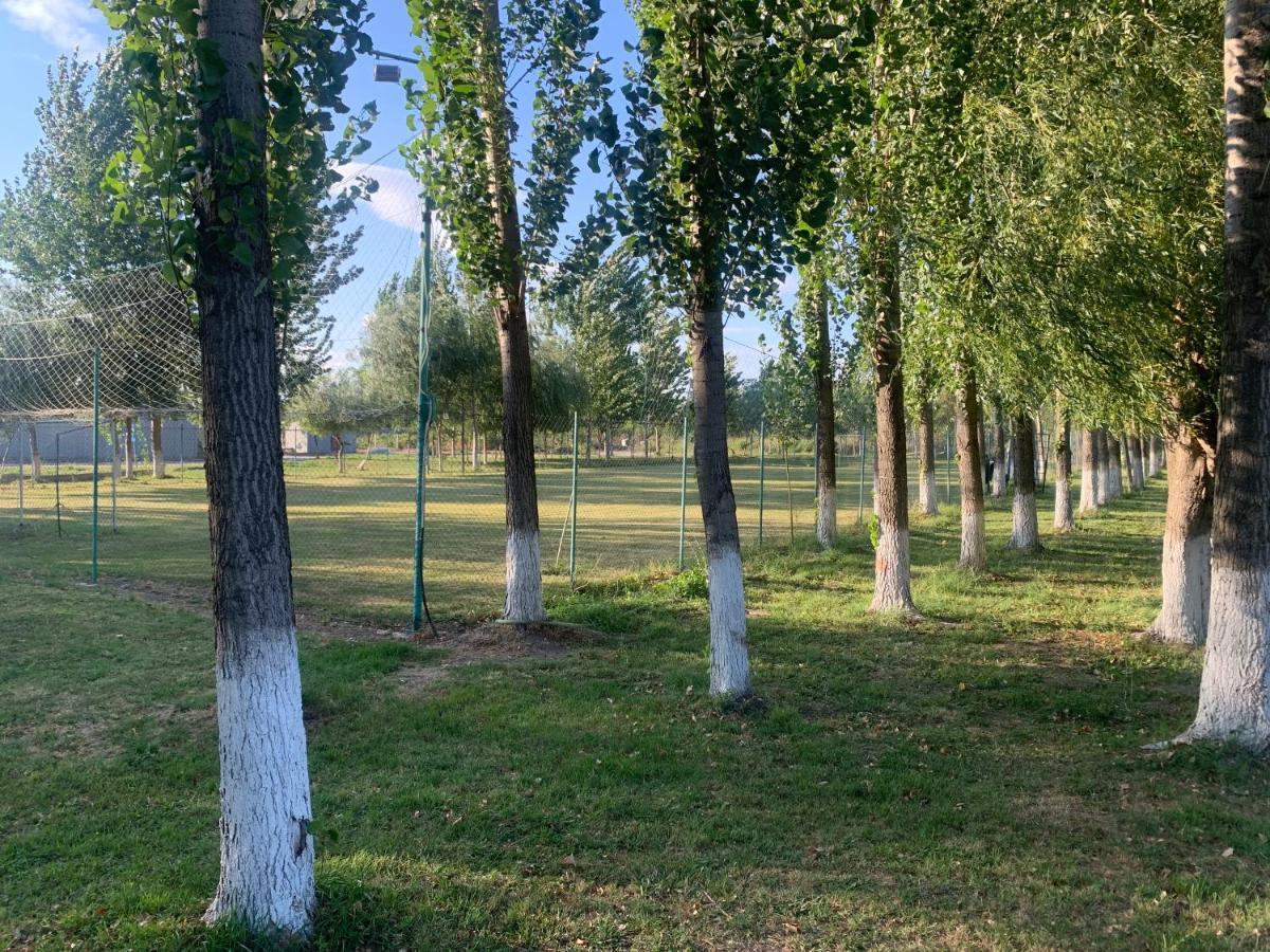 Vila Gigios Sport&Relax Bailesti Exteriér fotografie