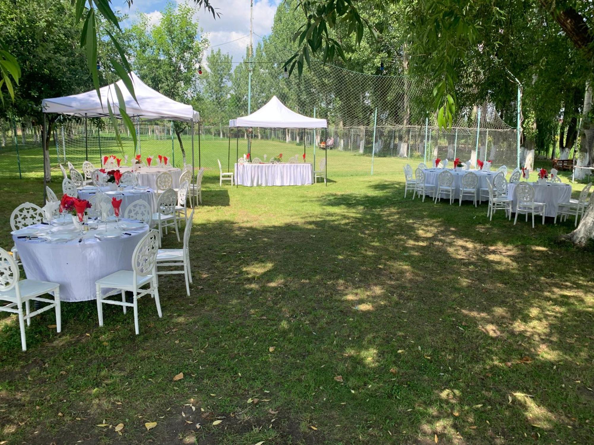 Vila Gigios Sport&Relax Bailesti Exteriér fotografie