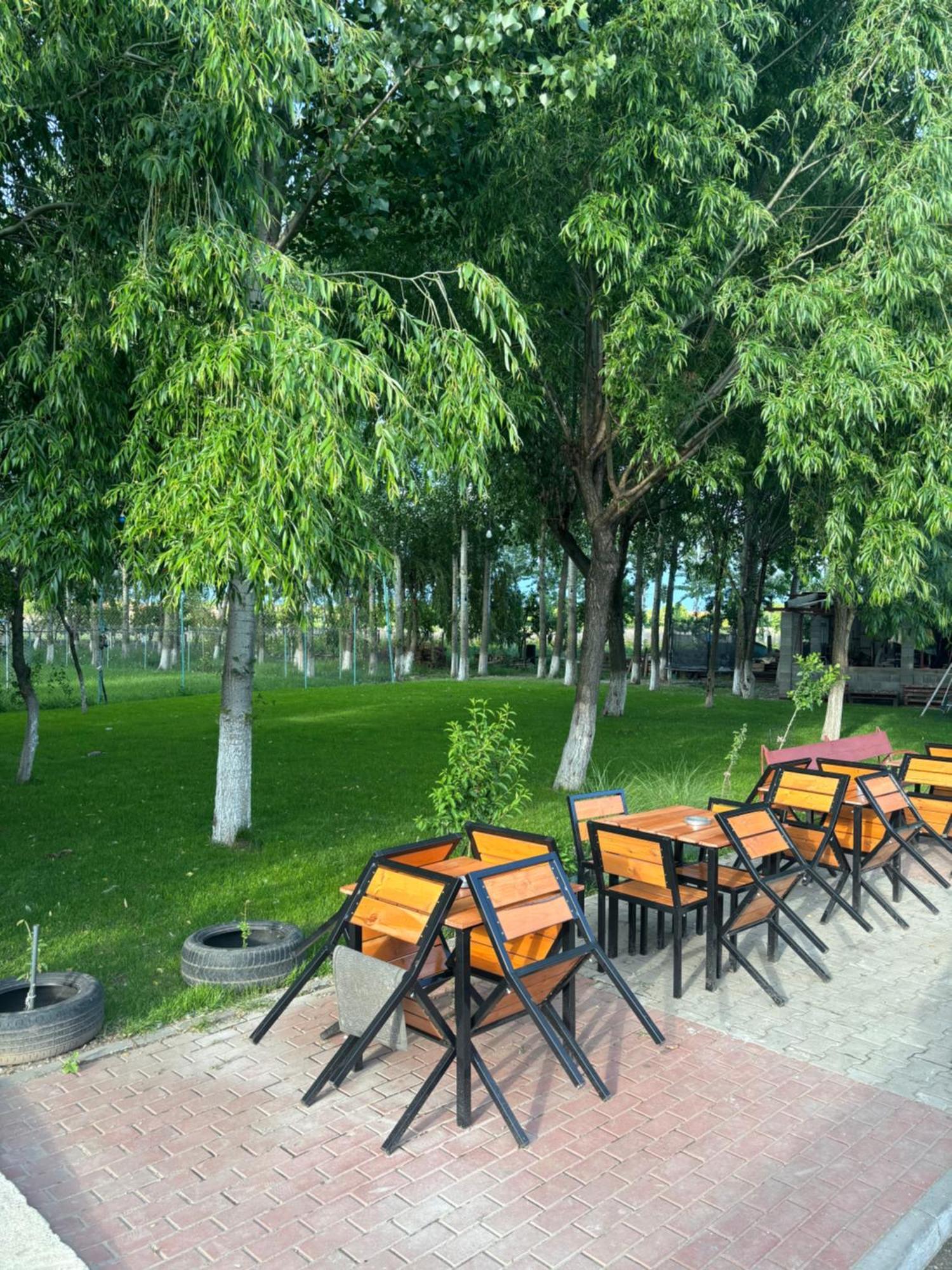Vila Gigios Sport&Relax Bailesti Exteriér fotografie