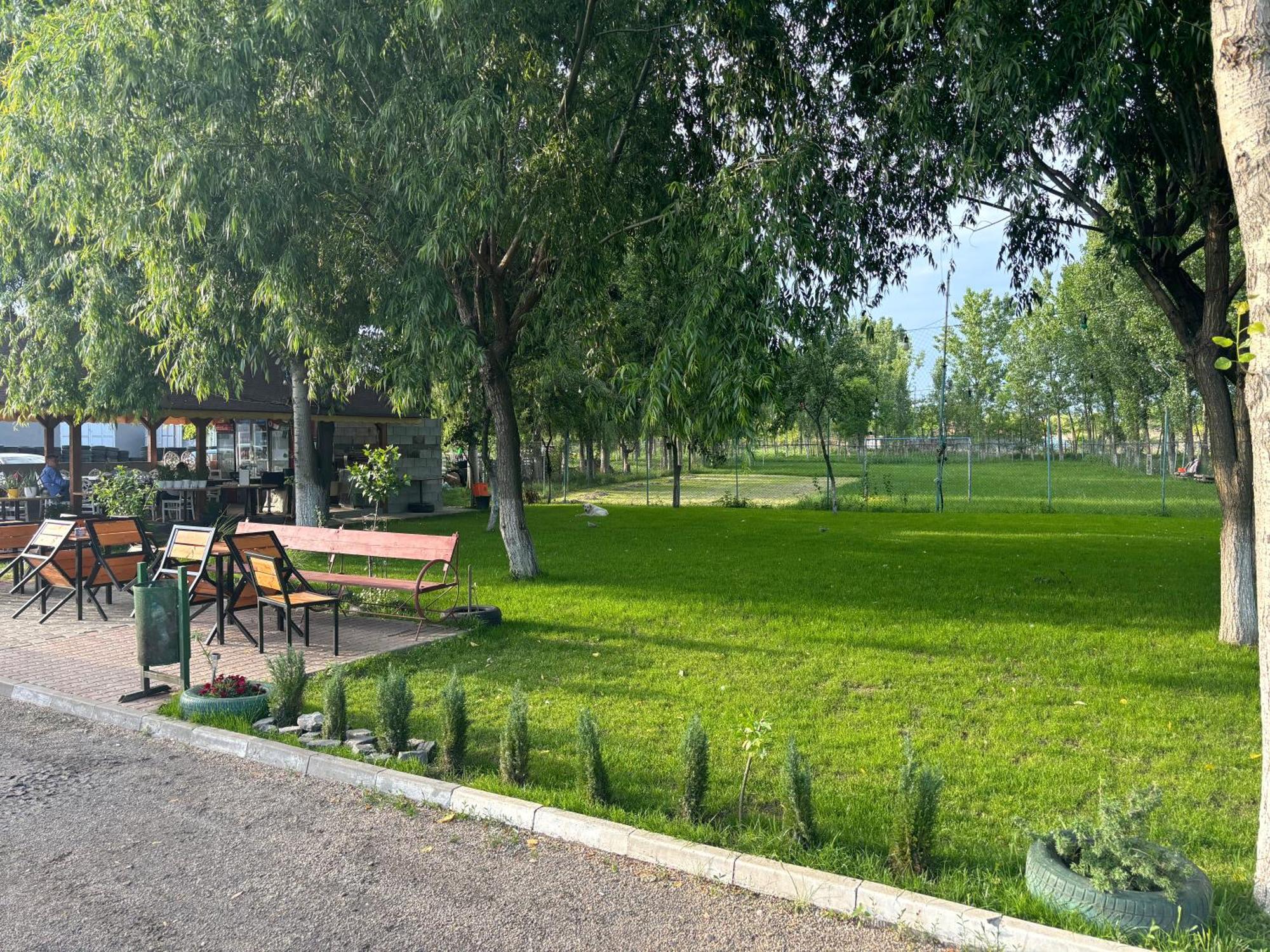 Vila Gigios Sport&Relax Bailesti Exteriér fotografie